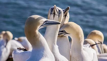 永利APP-乐竞体育：让运动成为日常的快乐竞赛