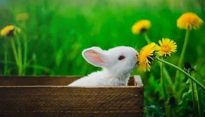 永利APP-乐竞体育：让运动成为日常的快乐竞赛